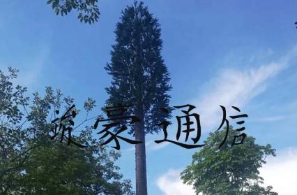 仿樹塔：科技與自然的巧妙融合